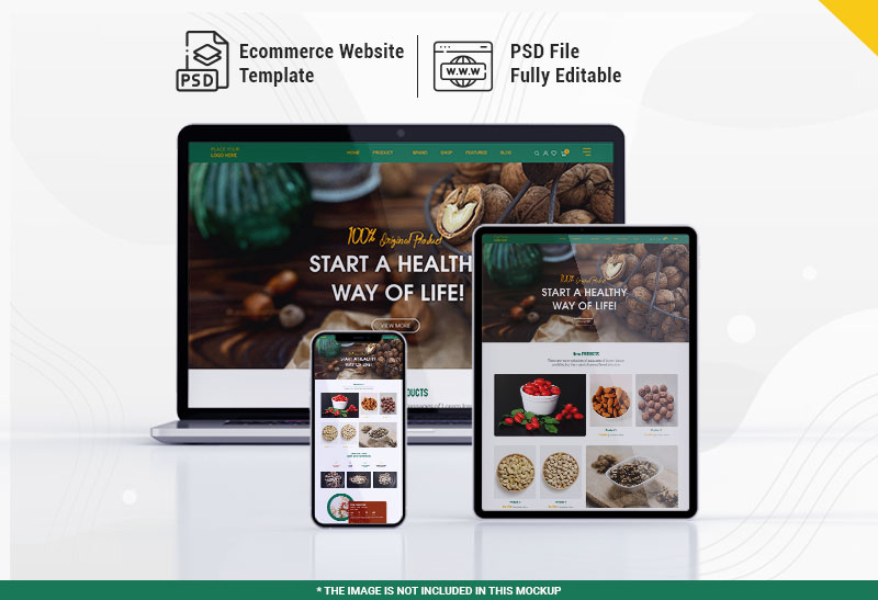 Dry Fruits E commerce Website Web Page Template Dry Fruits E commerce Website Web Page Template