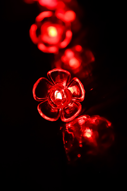 Electric Lights During Diwali Celebration with black Background